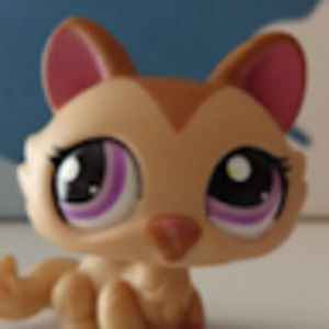 Meet your Posher, Virginia